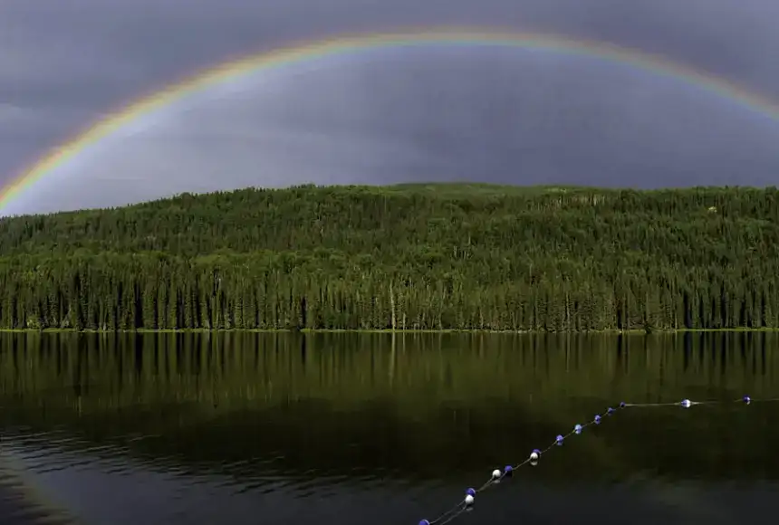 Jarvis Lake Campground
