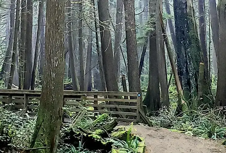 Horne Lake Regional Park