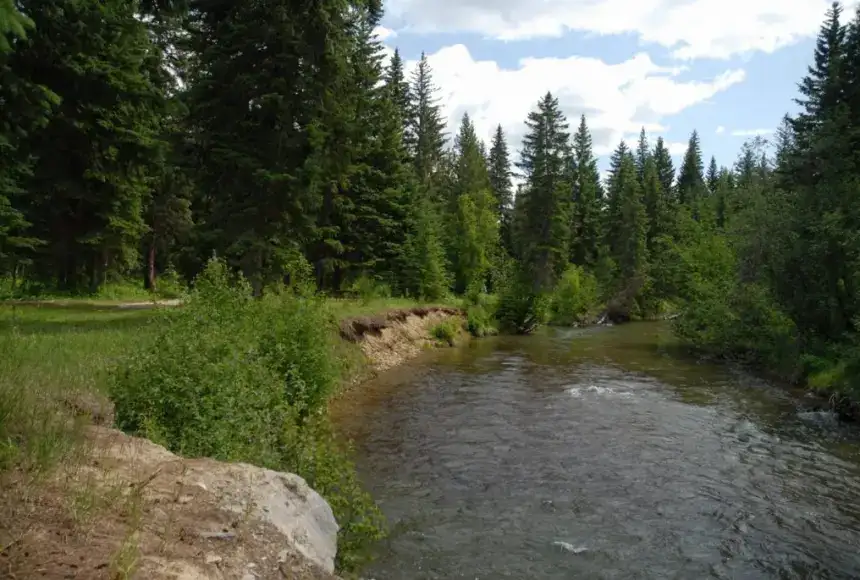 Photo showing Yellowhead Campground