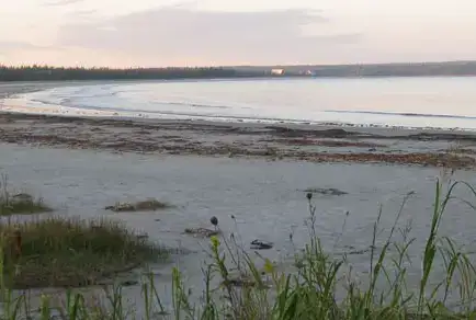 Louis Head Beach Campground