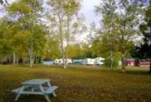 Birchwood Tent & RV Park B&B