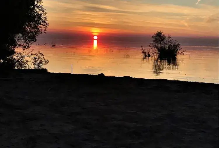 Brucedale Conservation Area